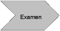 Flecha: cheurn: Examen